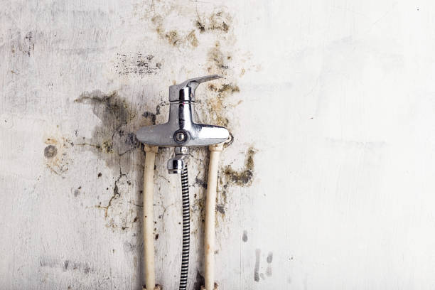 Best Water Damage Restoration  in Bellows Falls, VT