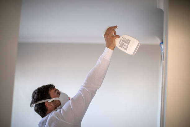 Best Same-Day Mold Removal  in Bellows Falls, VT