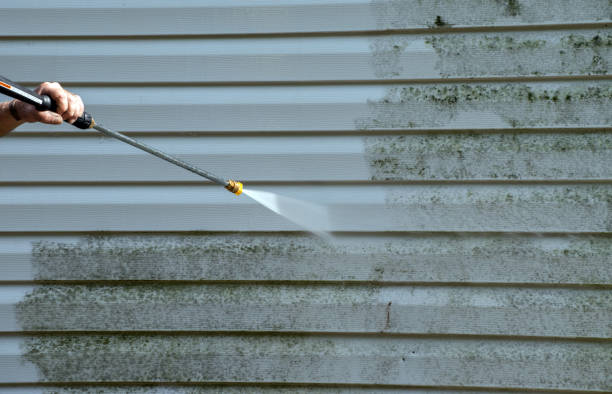 Best Mold Cleaning Services  in Bellows Falls, VT