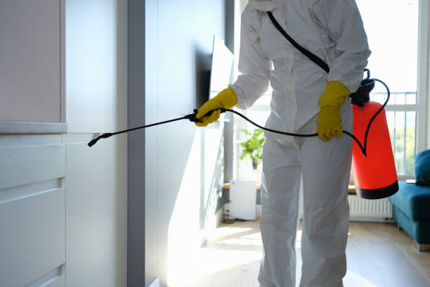 Best Mold Testing  in Bellows Falls, VT