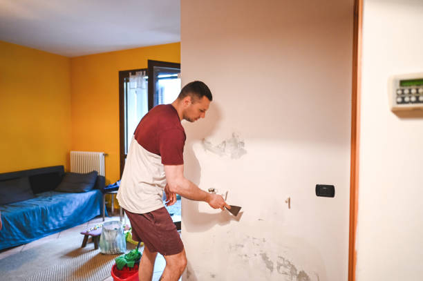 Professional Mold Removal in Bellows Falls, VT